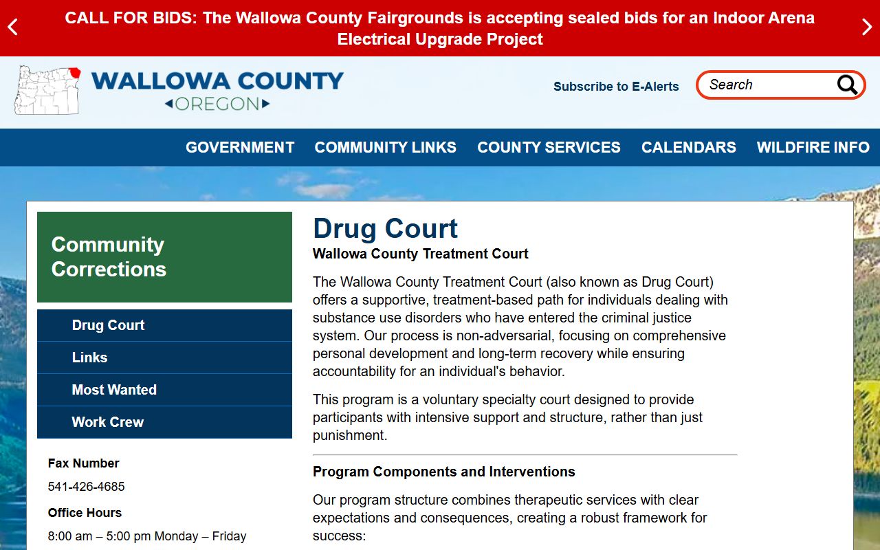 Wallowa County arrest records and charges Treatment Court