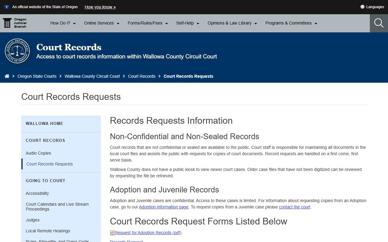 Wallowa County court records case file request page